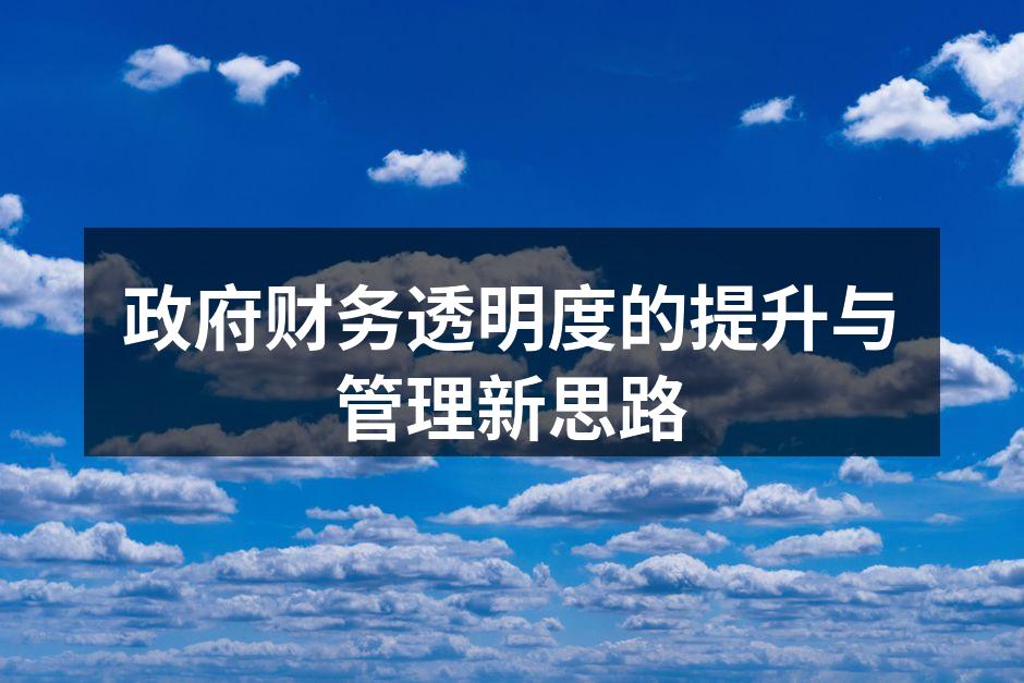政府财务透明度的提升与管理新思路