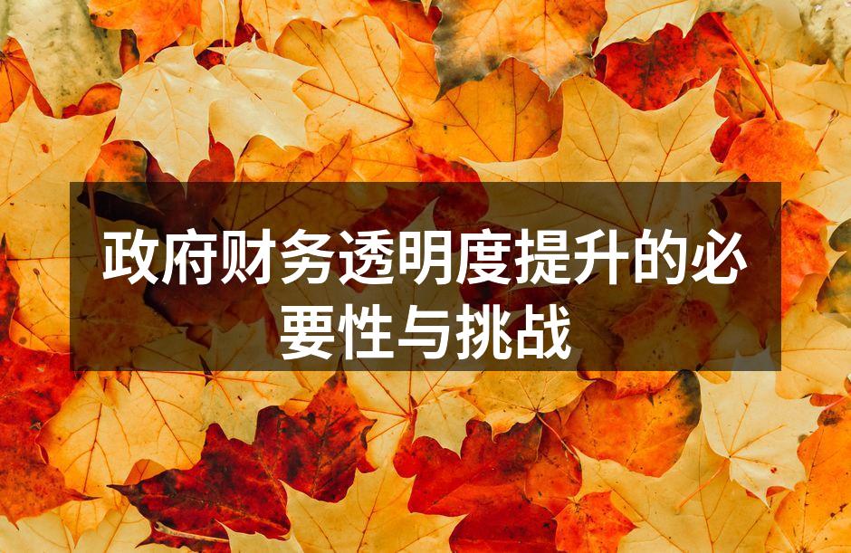 政府财务透明度提升的必要性与挑战